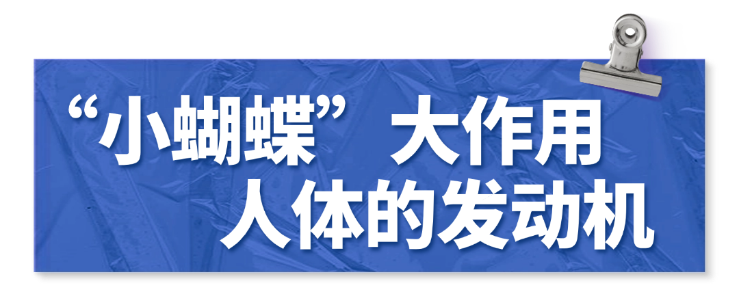 9adb686a121ea2c5a70098b8cf6c9c29.png